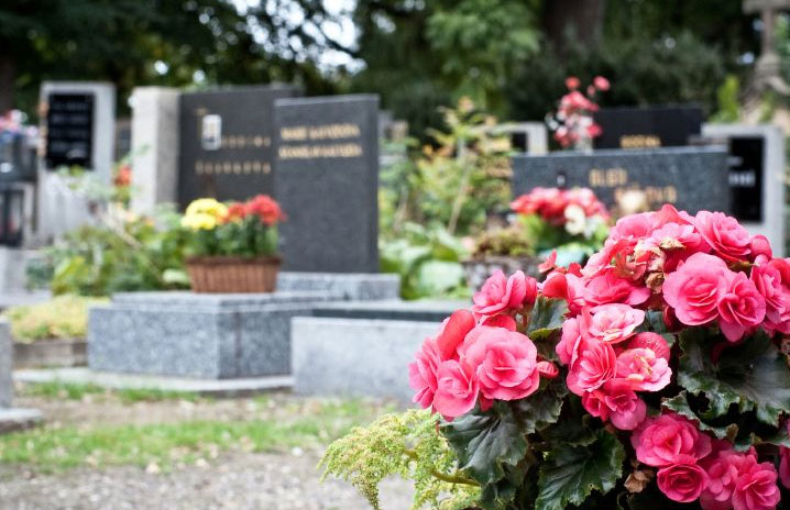 Pot de fleurs dans un cimetière en fond flouté