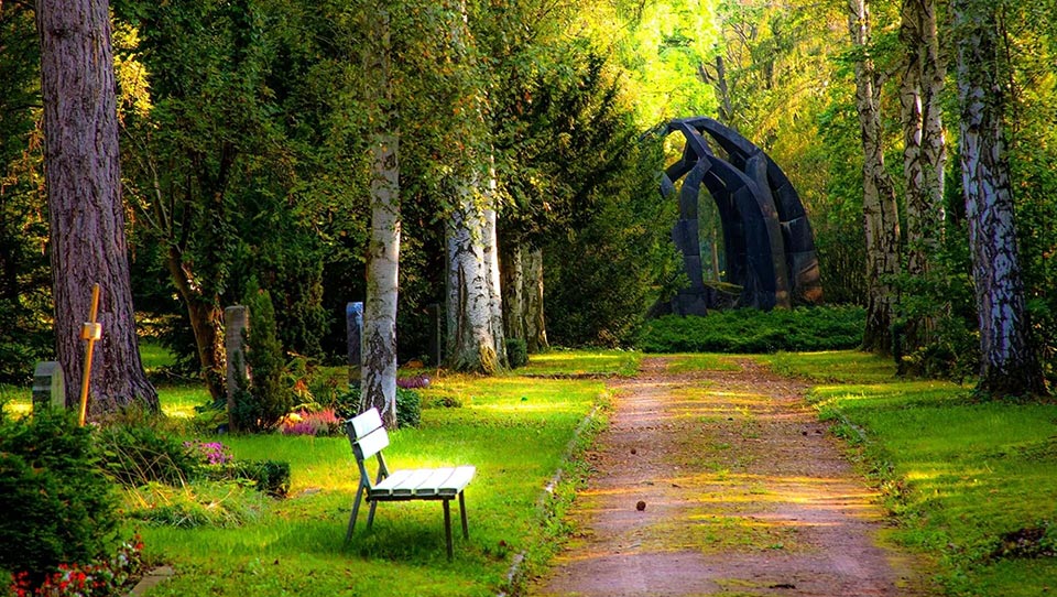 Allée d'arbres dans un cimetière avec un banc blanc et une structure artistique au bout de l'allée